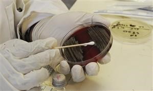 &quot;Drug Abuse Treatment Protocols
